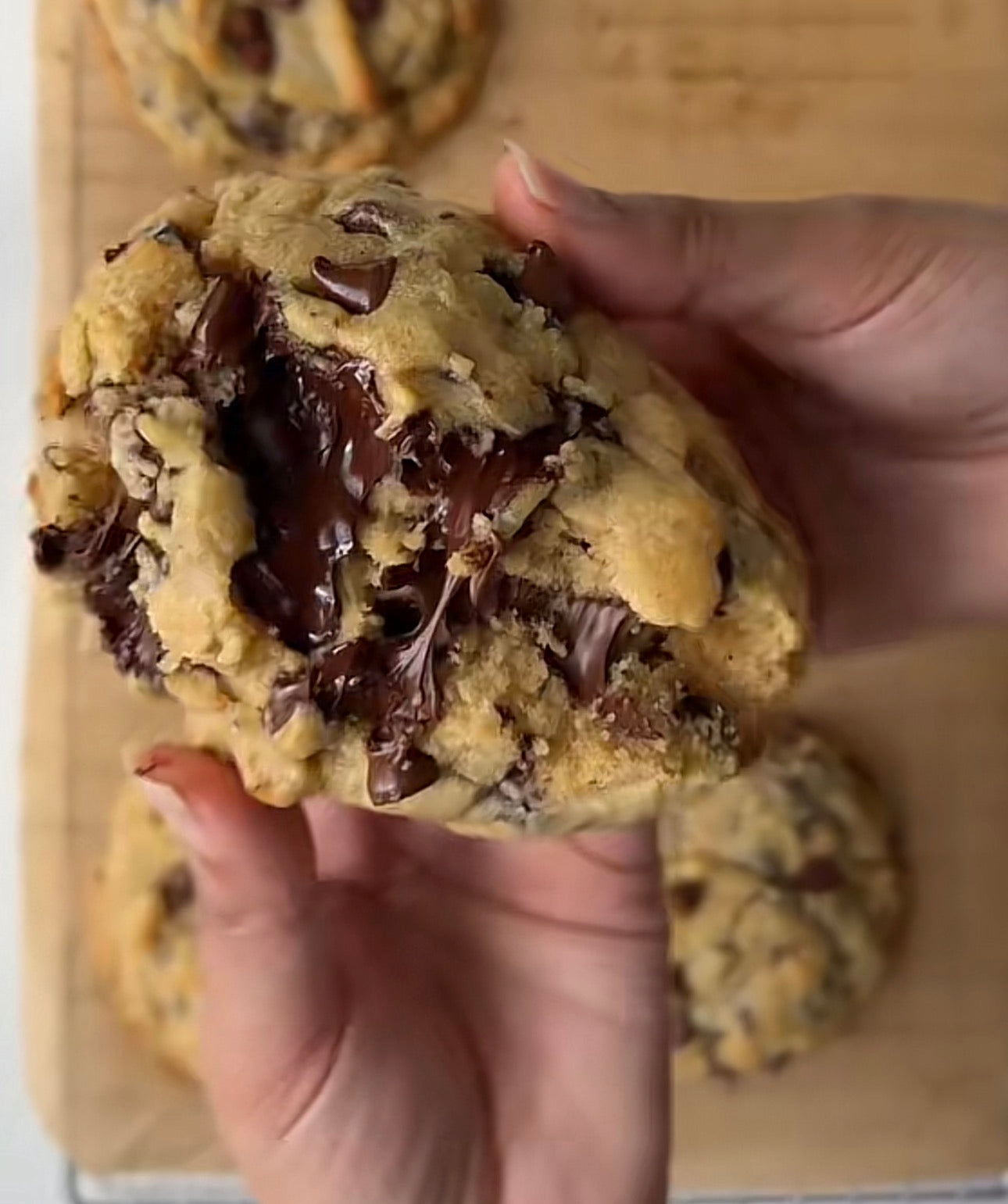 Classic Chocolate Chip Cookie